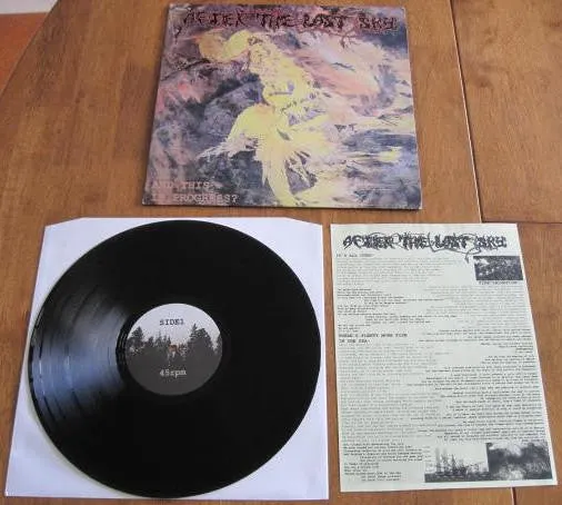 AFTER THE LAST SKY - And This Is Progress? 12"
