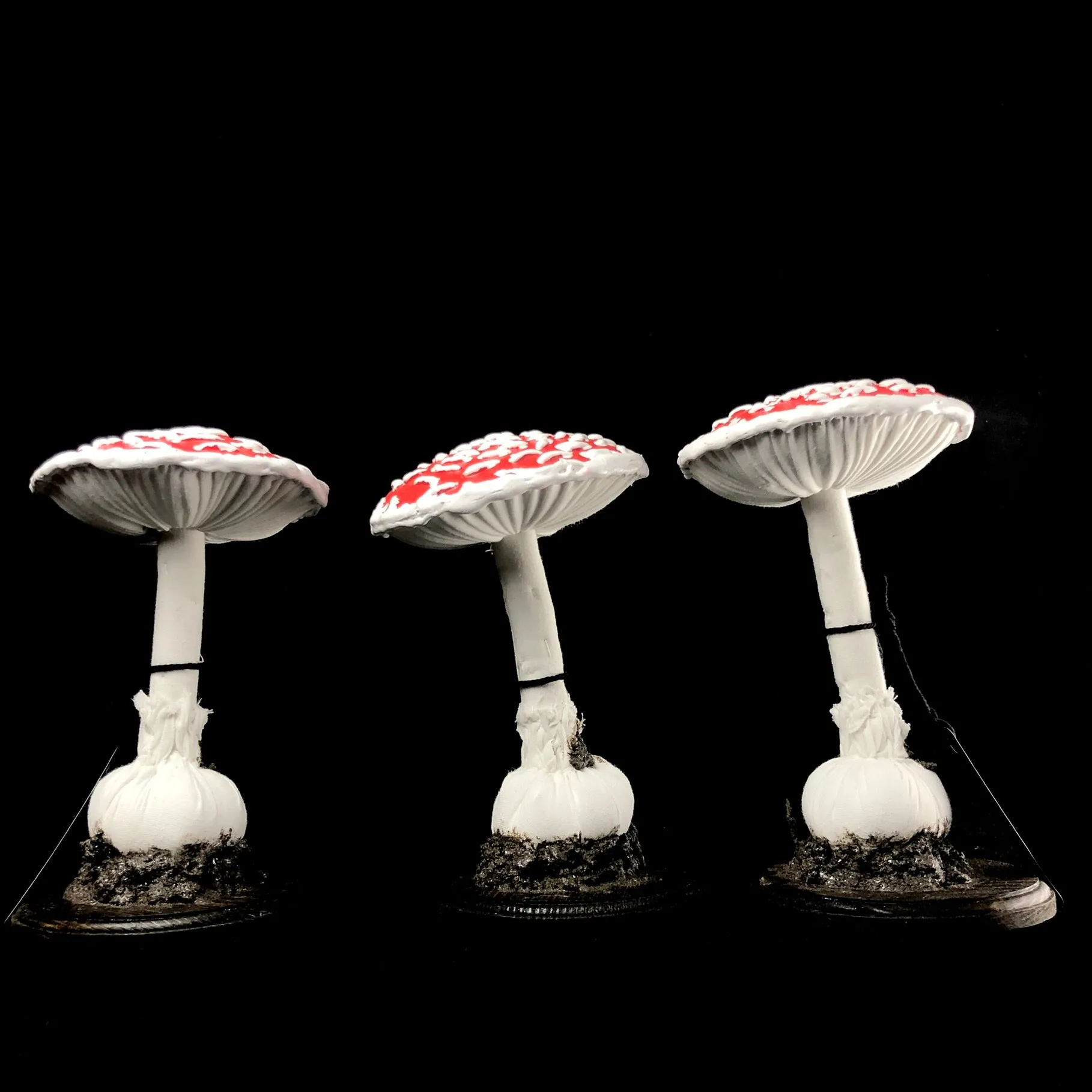 Amanita Muscaria Mushroom