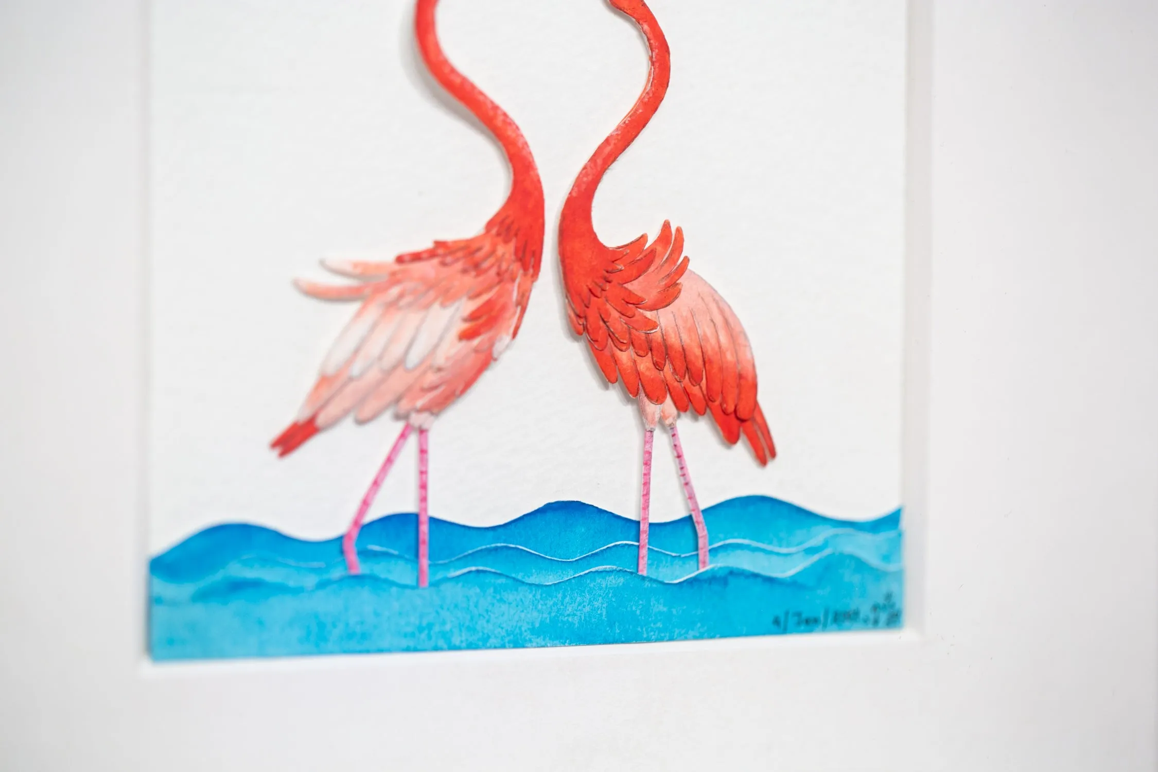 American Flamingo (2019)