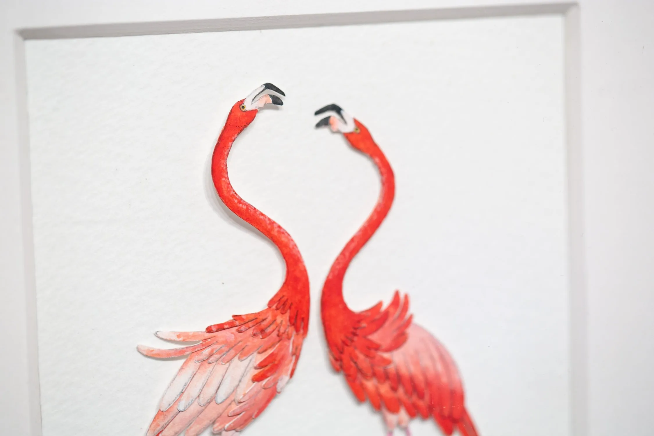 American Flamingo (2019)