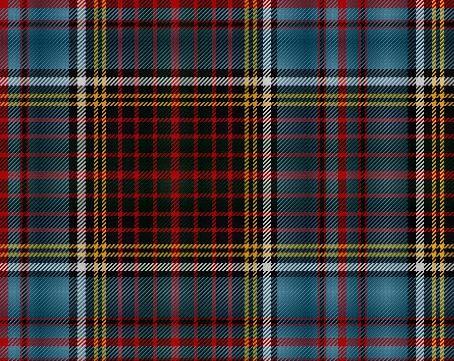 Anderson Modern Tartan Tam