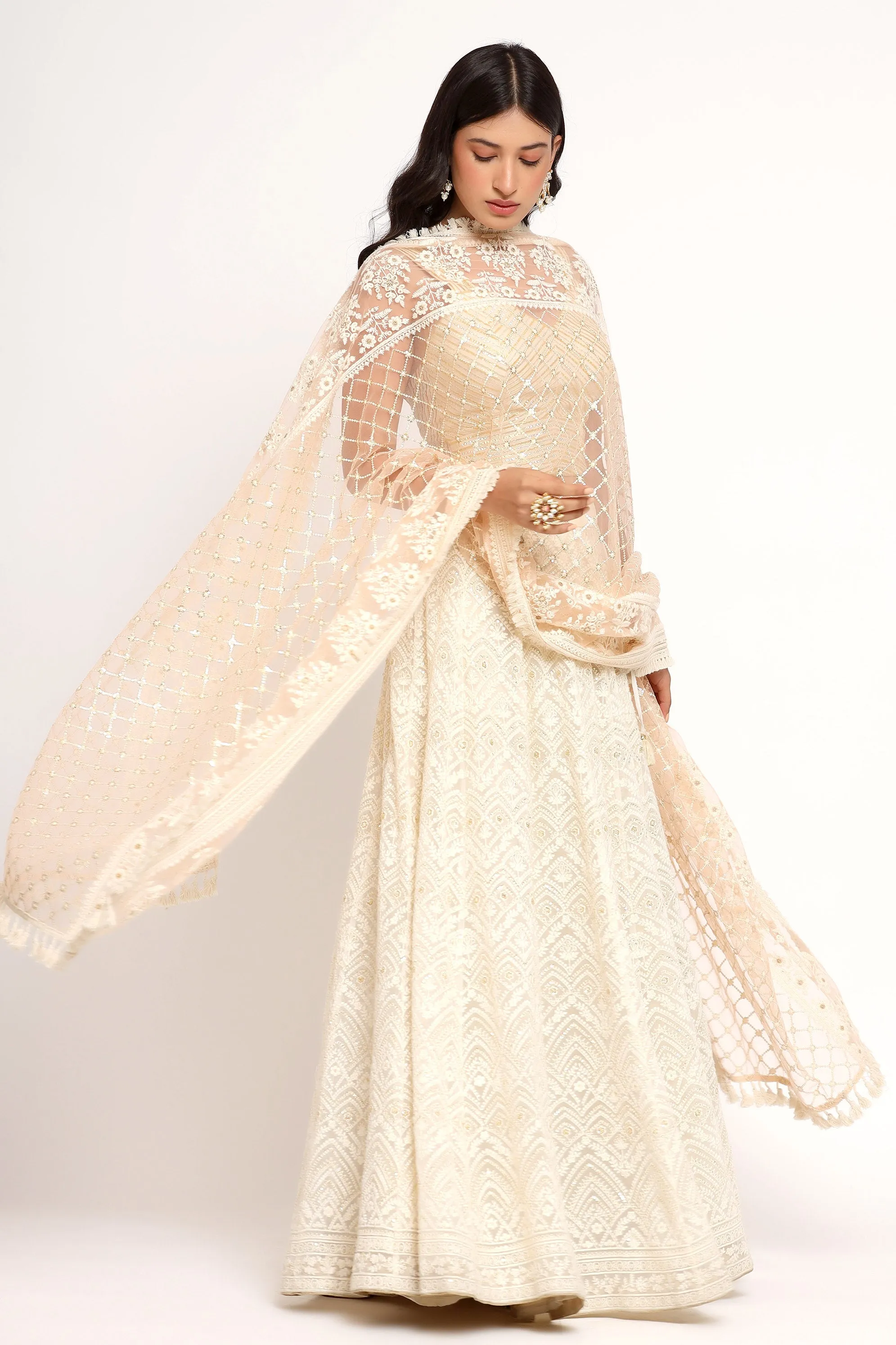 Aria Lehenga (Crystal Blouse)