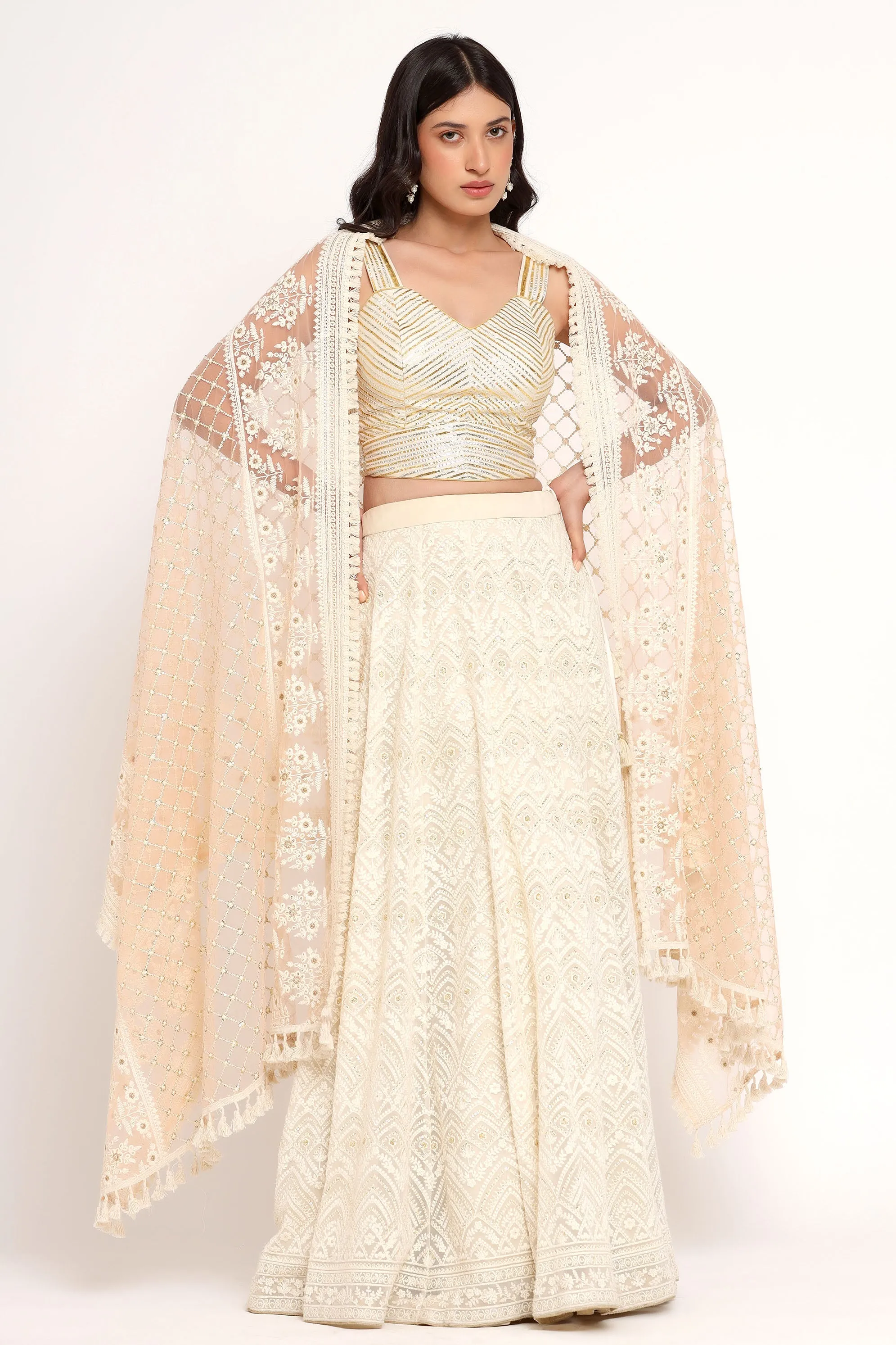 Aria Lehenga (Crystal Blouse)