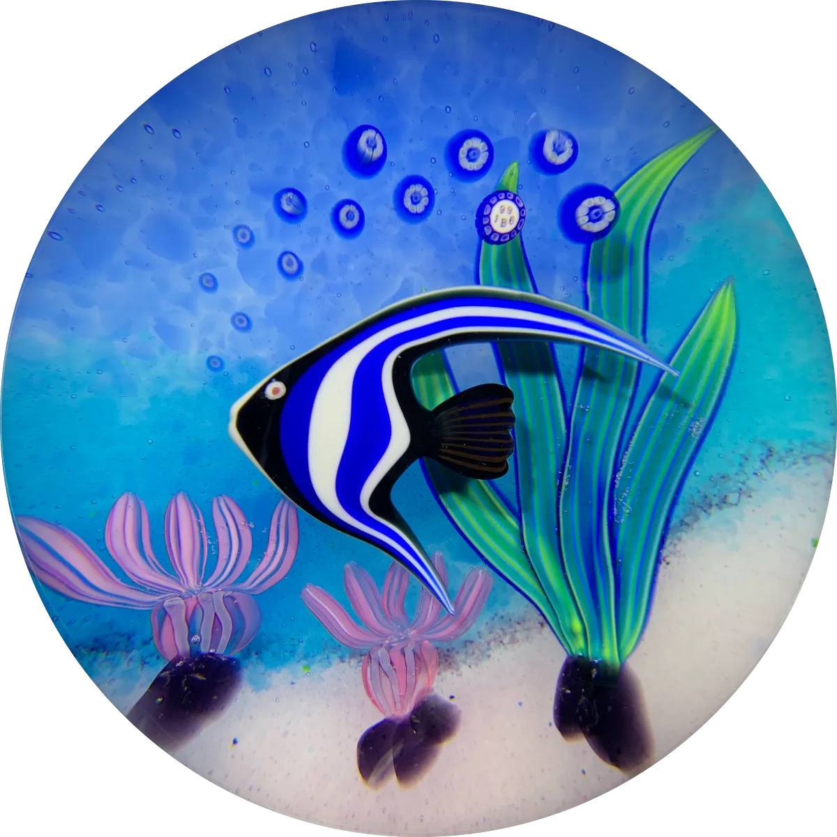 Baccarat 1996 Flamework White Lined Emperor Fish LE 100