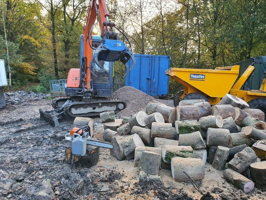 BC120 Excavator Forestry Grab - 2-3 Tonne
