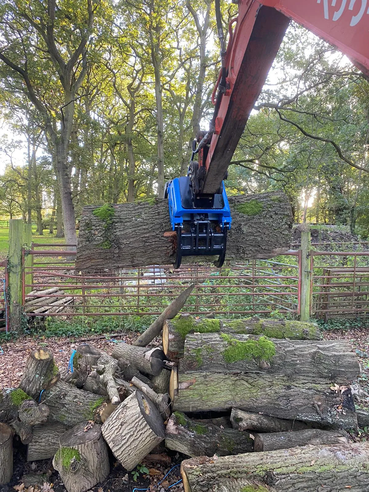 BC120 Excavator Forestry Grab - 2-3 Tonne