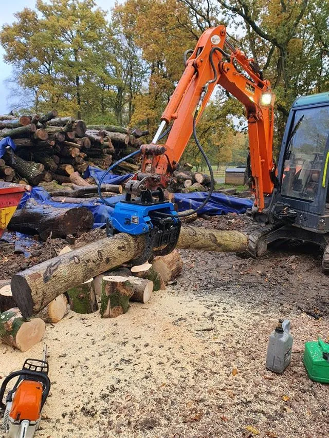 BC120 Excavator Forestry Grab - 2-3 Tonne