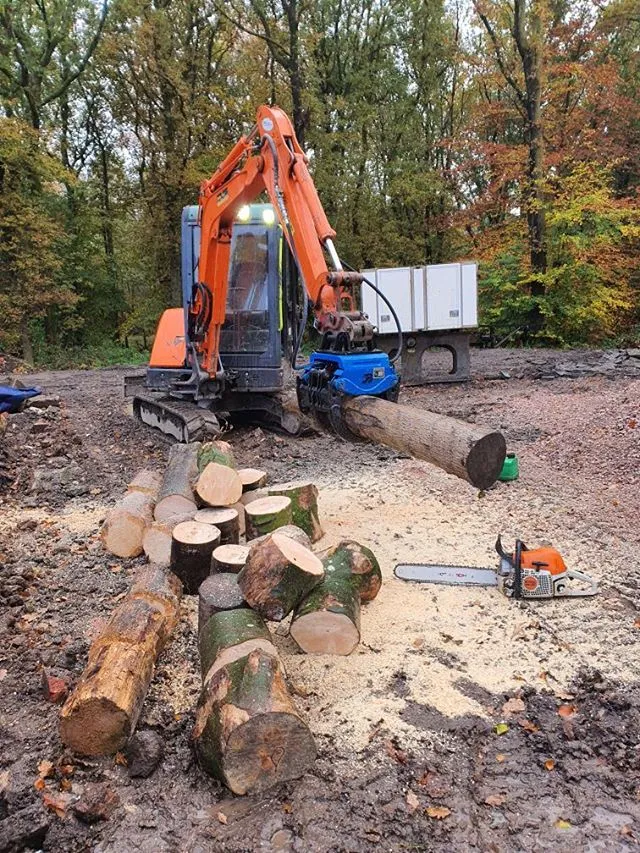 BC120 Excavator Forestry Grab - 2-3 Tonne