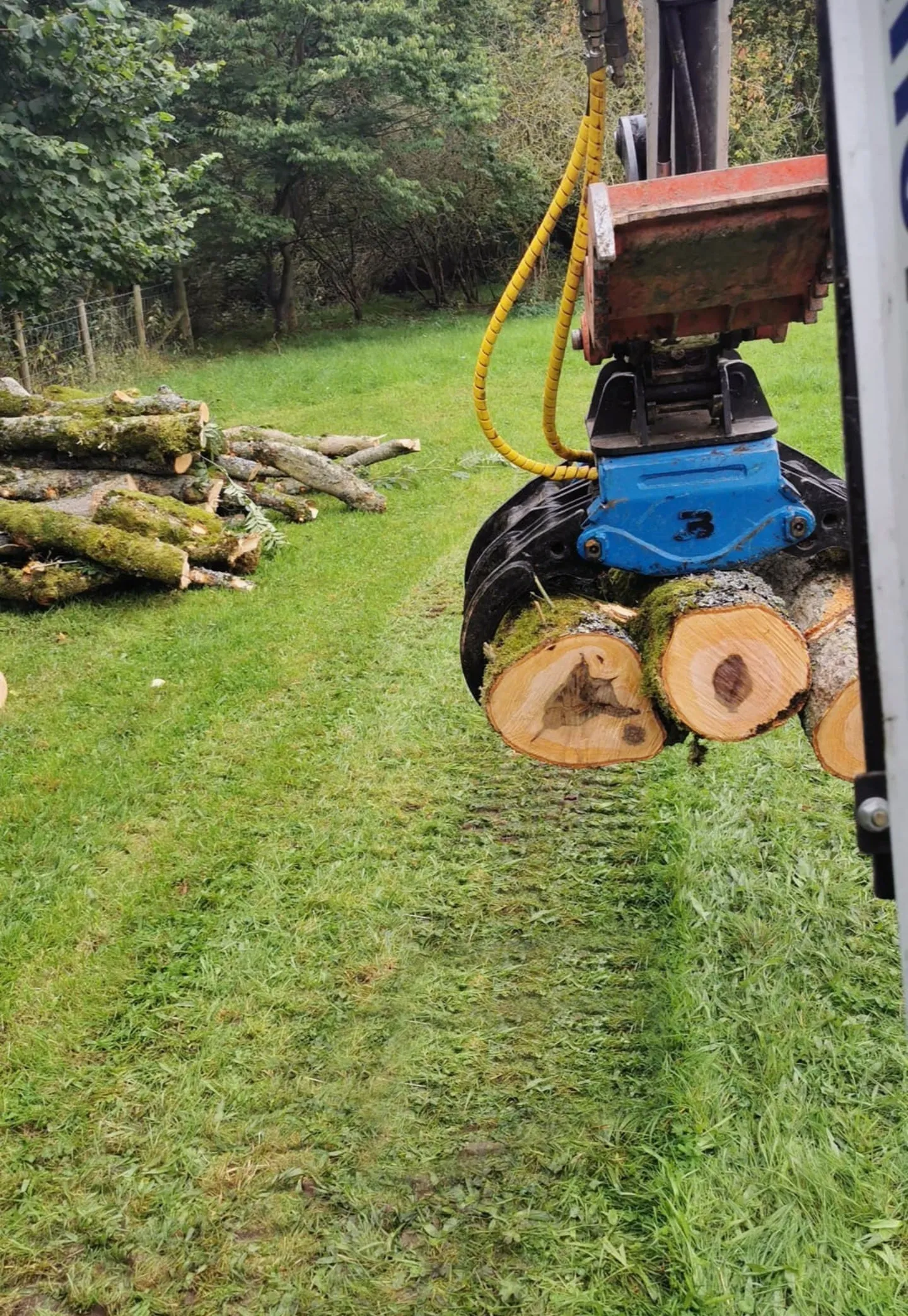 BC120 Excavator Forestry Grab - 2-3 Tonne