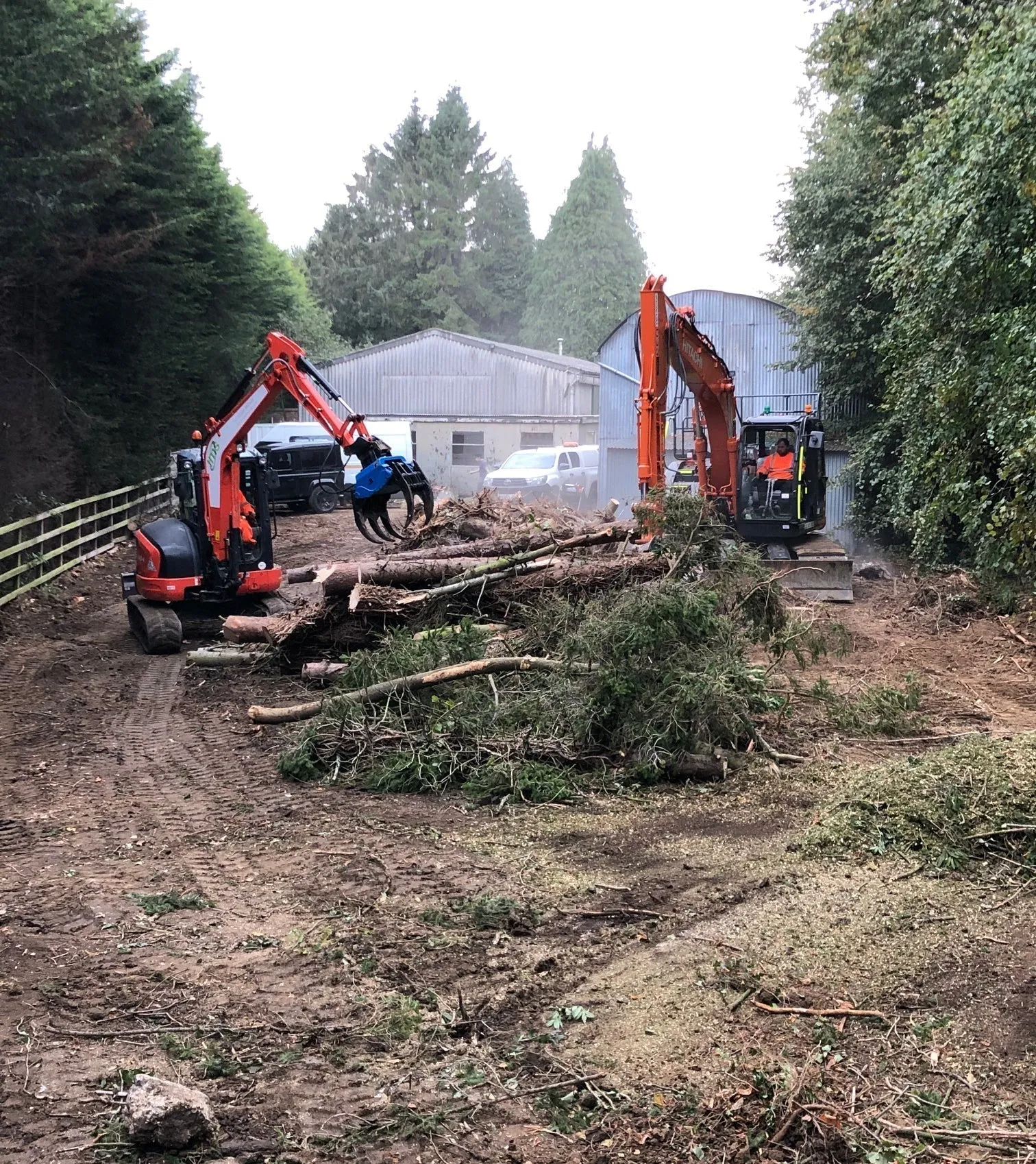 BC230 Excavator Forestry Grab - 4-8 Tonne