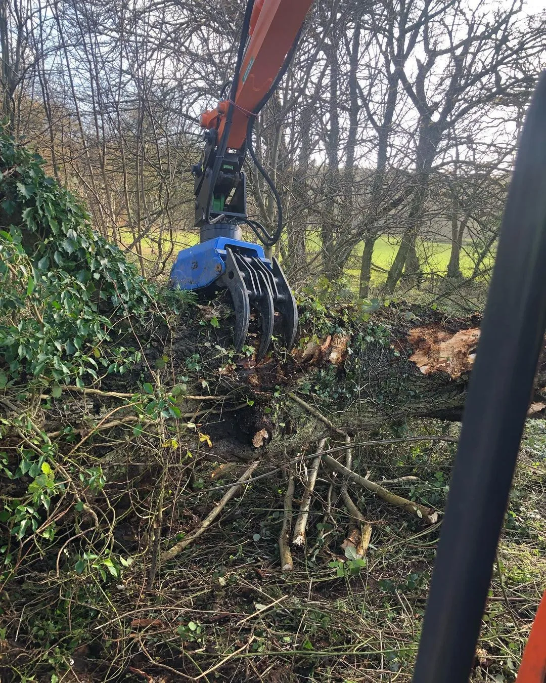 BC230 Excavator Forestry Grab - 4-8 Tonne