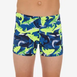 Boy’s fitib swimming boxer shorts all city