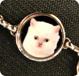 Bracelet, 5-Circle Linked