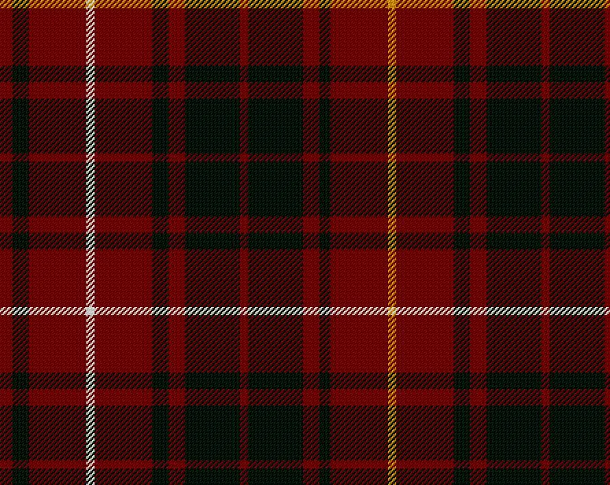 Bruce Modern Tartan Tam