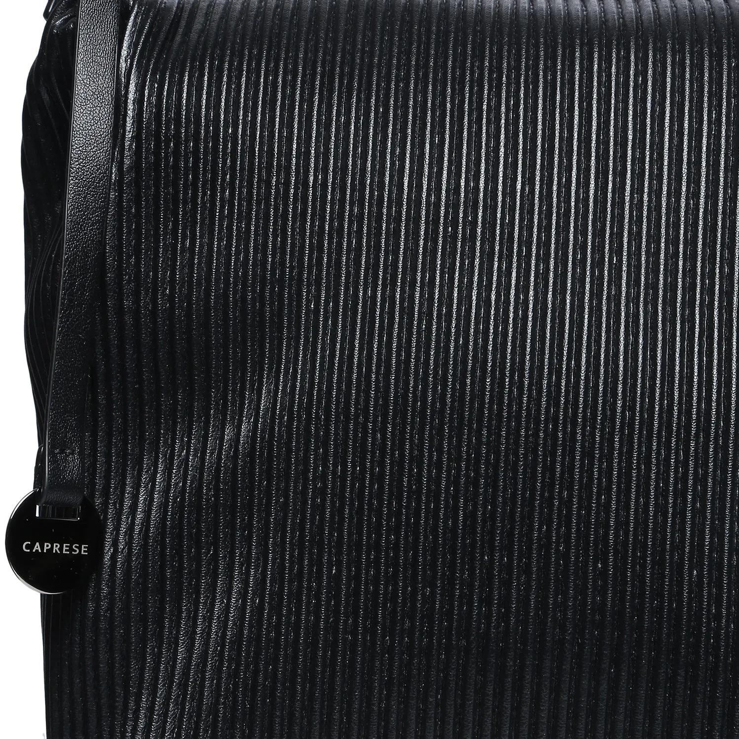 Caprese Symona Large Black Hobo Bag