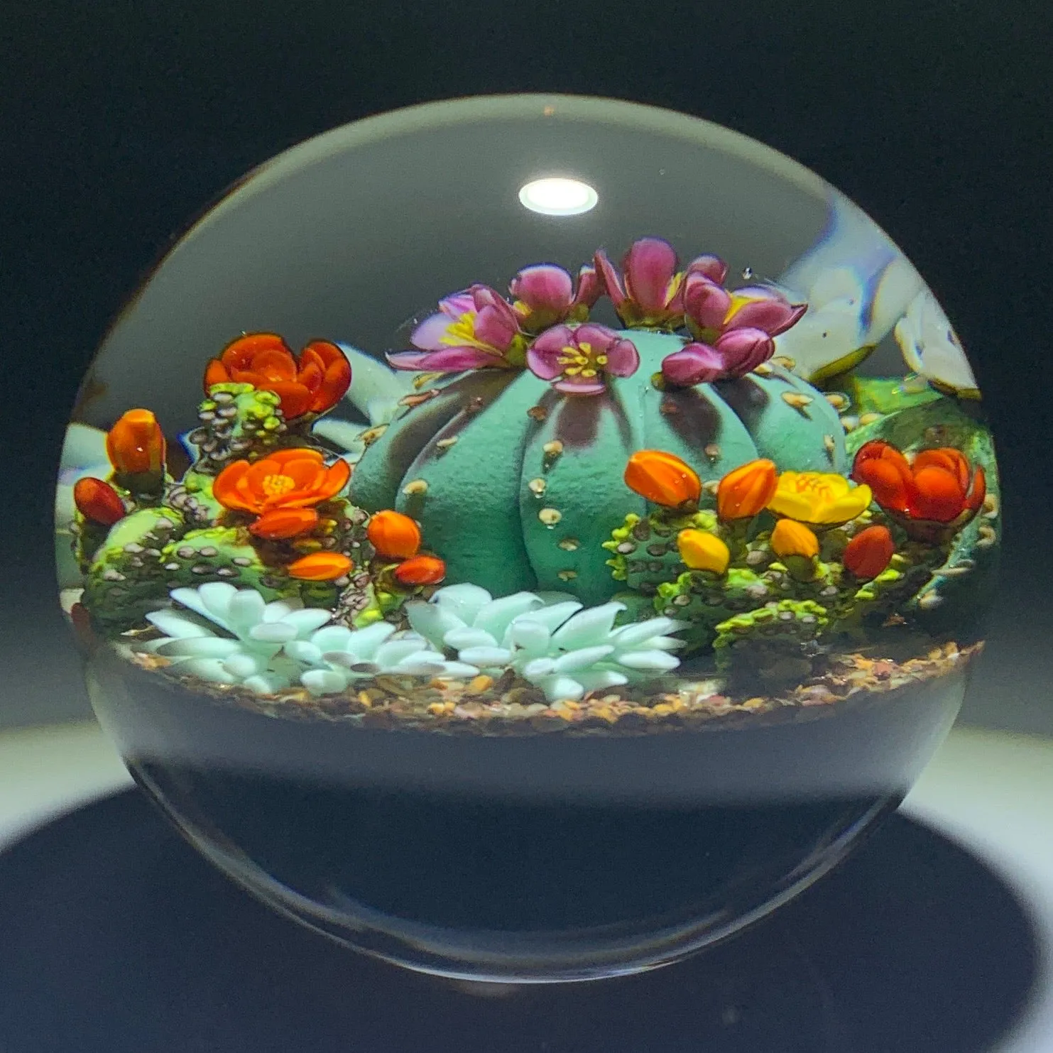 Cathy Richardson 2020 One-Of-A-Kind Flamework Flowering Cacti Barrel Cactus