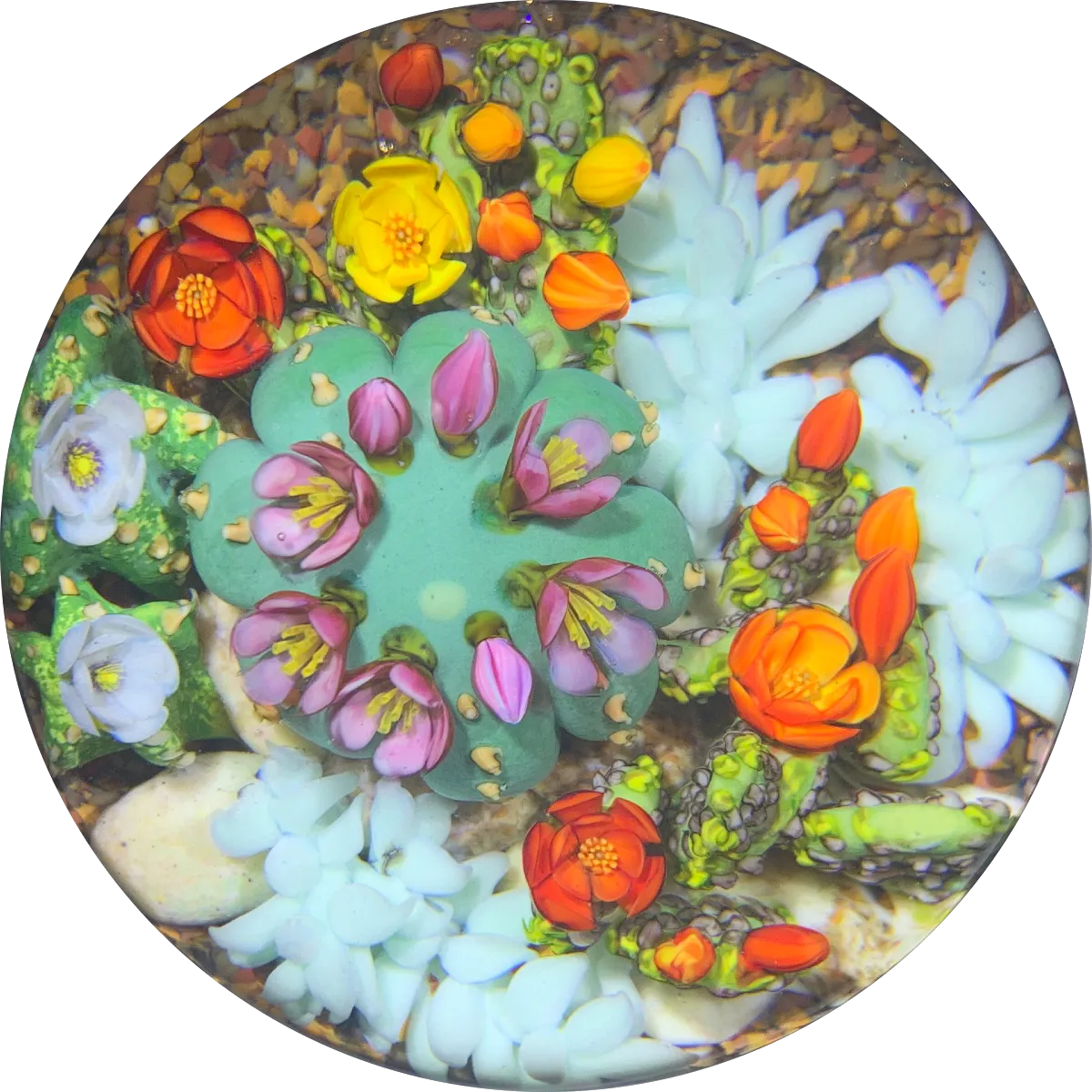 Cathy Richardson 2020 One-Of-A-Kind Flamework Flowering Cacti Barrel Cactus