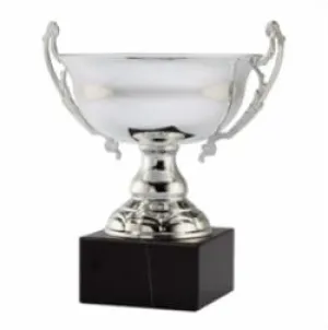 Cup Trophy - Wide Silver Metal