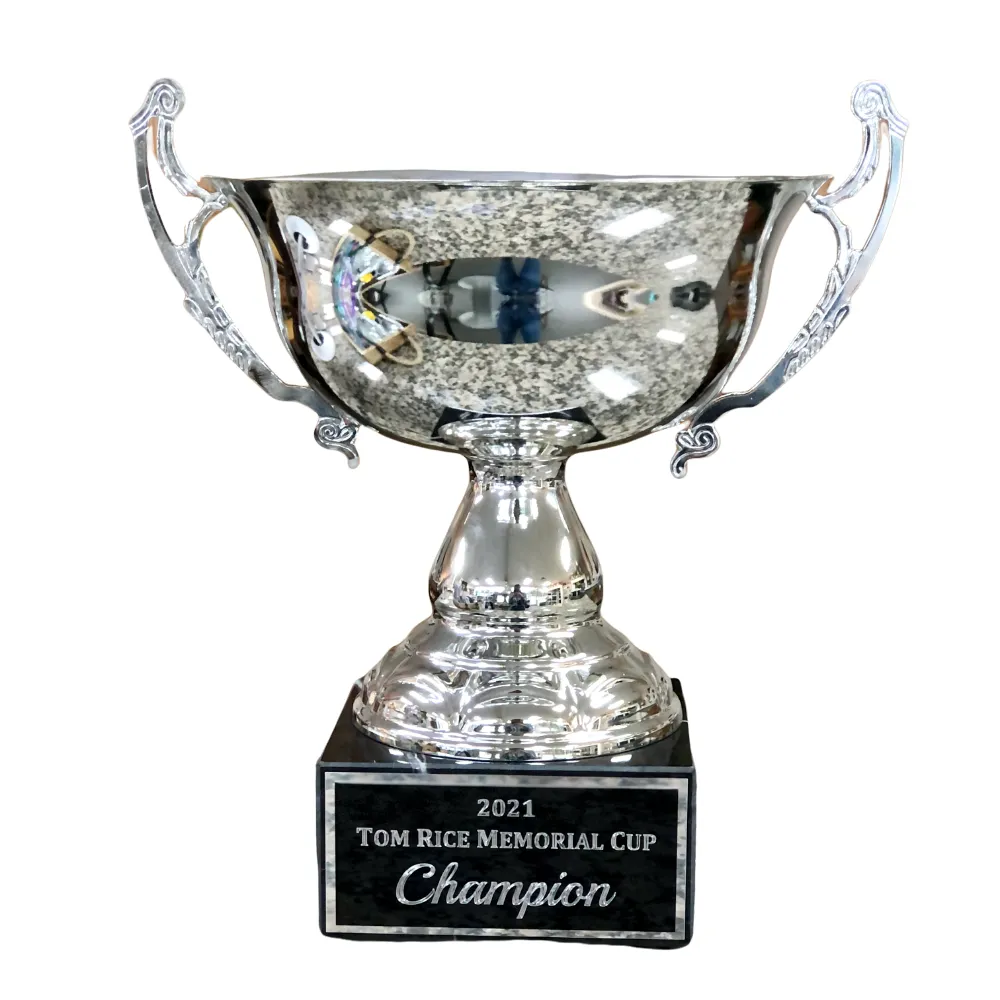 Cup Trophy - Wide Silver Metal