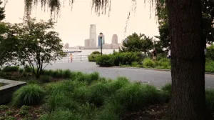 Cyclist Rides Through Battery Park