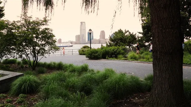 Cyclist Rides Through Battery Park