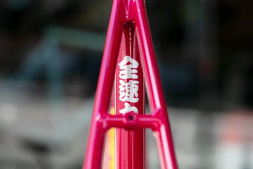Engine11 CritD Track Frameset - Fusha - Large
