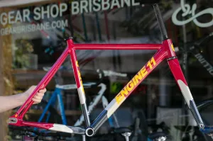 Engine11 CritD Track Frameset - Fusha - Small