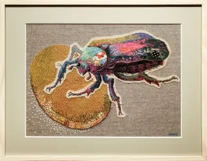 Flower Beetle