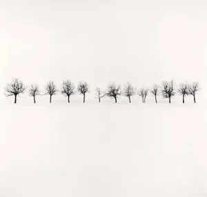 Fourteen Trees, Higashikawa, Hokkaido, Japan, 2009