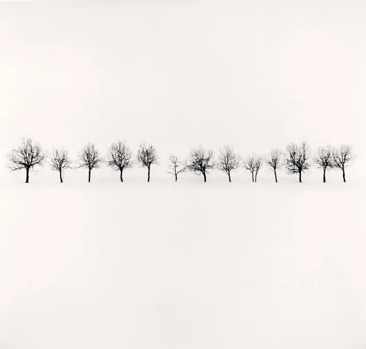 Fourteen Trees, Higashikawa, Hokkaido, Japan, 2009