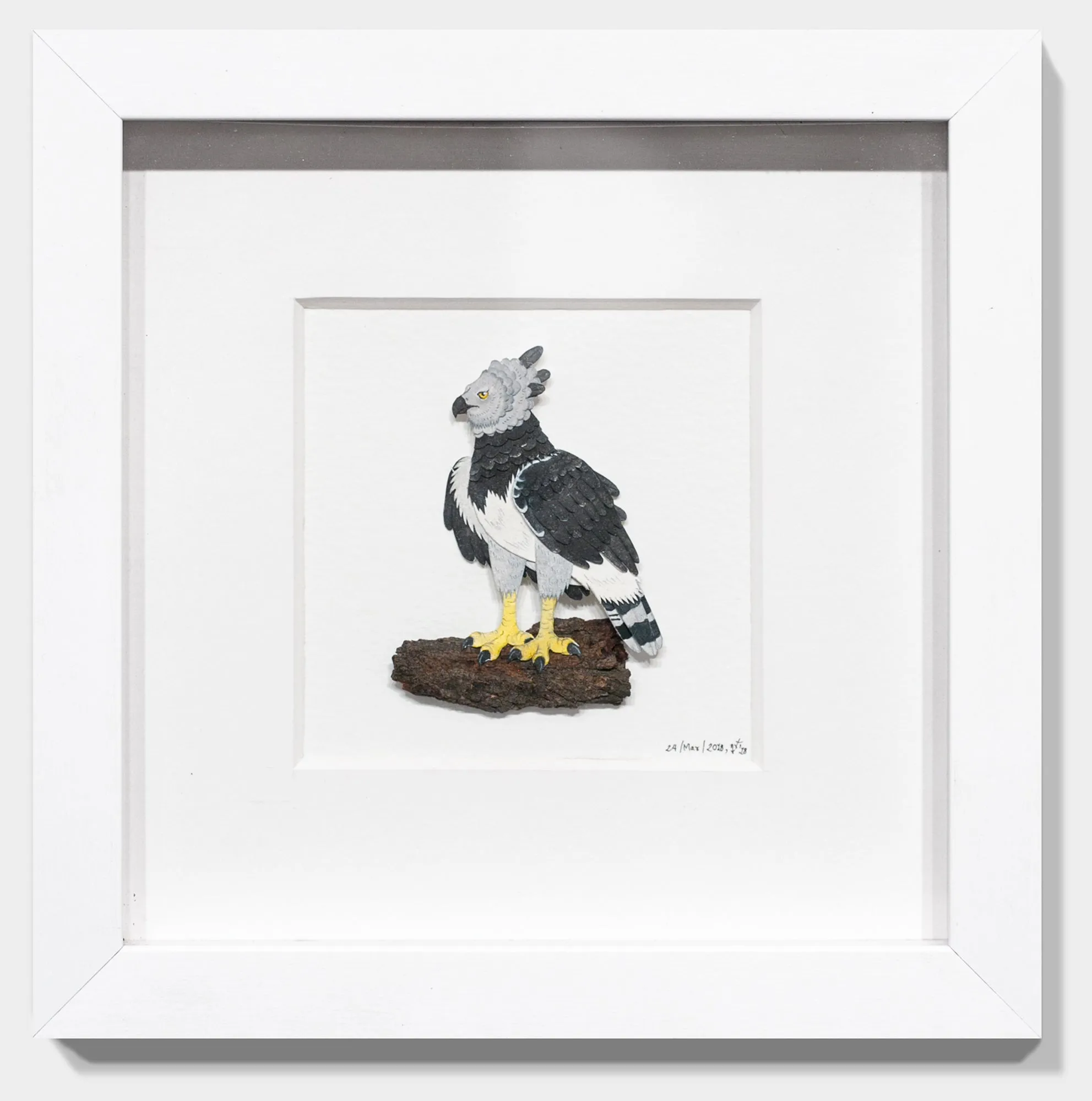 Harpy Eagle