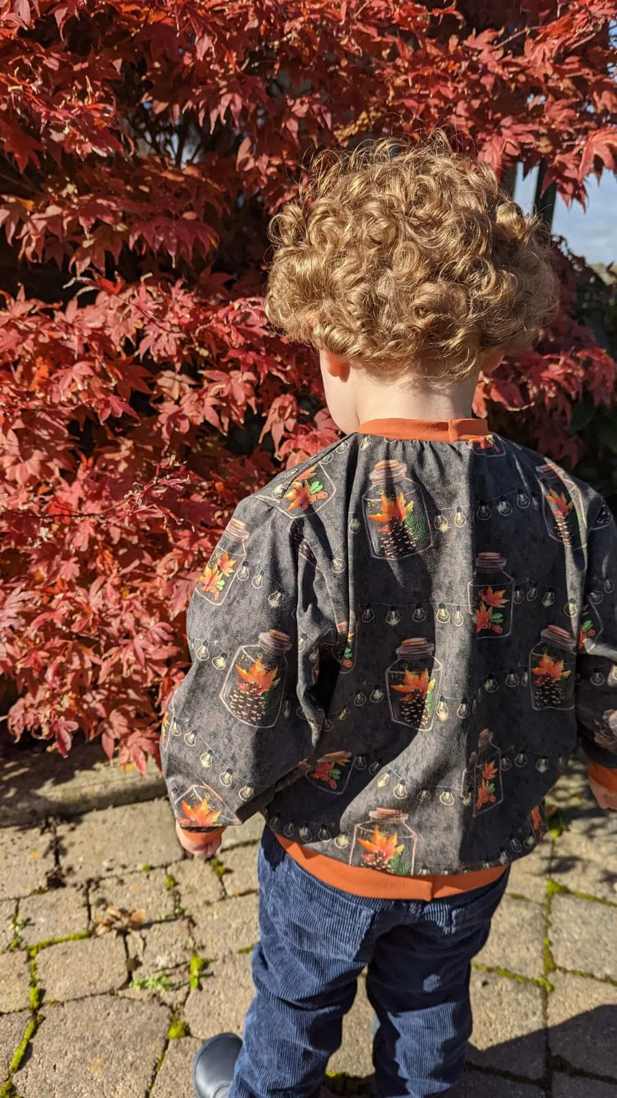 Kids Vintage Style Sweatshirts