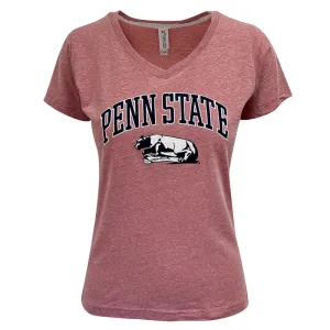Ladies Melange Lion Shrine V-Neck Shirt