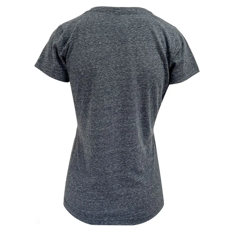 Ladies Melange Lions Shrine V Neck T-Shirt