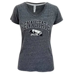 Ladies Melange Lions Shrine V Neck T-Shirt