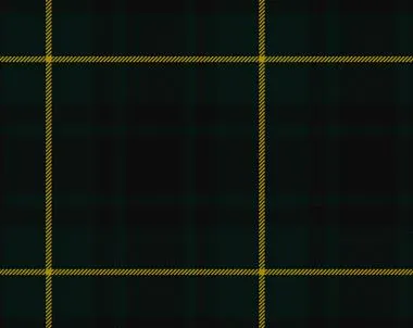 MacArthur Modern Tartan Tam
