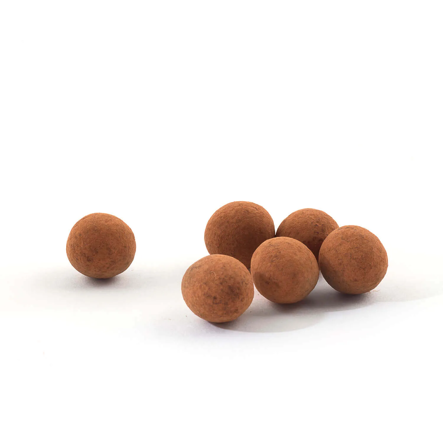 Milk Chocolate Covered and Cocoa Dusted Hazelnuts