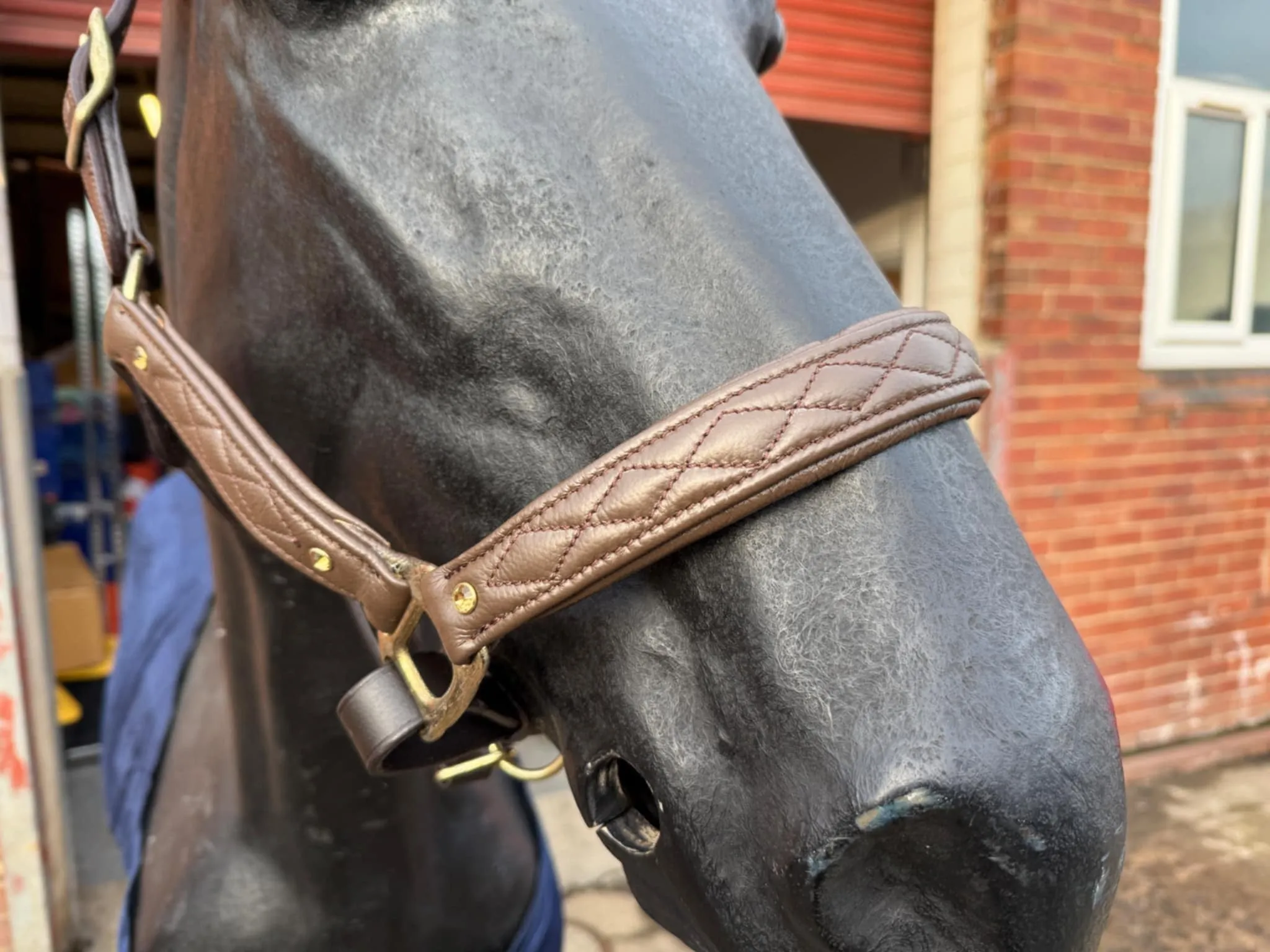 New padded deluxe stitched head collars with gold bling studs ❣️