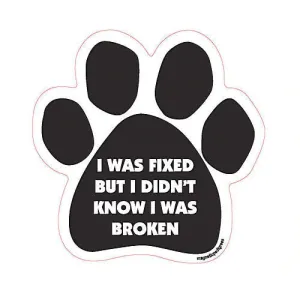 Paw-shaped Magnet Fixed