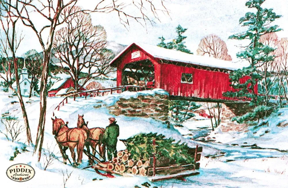PDXC9743 -- Snowy Scenes
