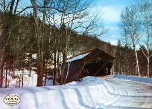 PDXC9788 -- Snowy Scenes