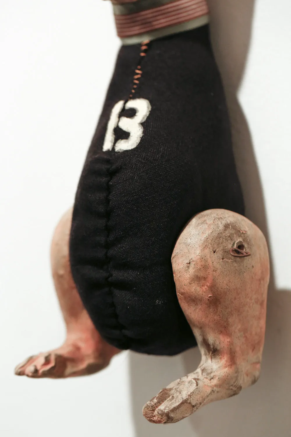 Rabbit Hybrid B