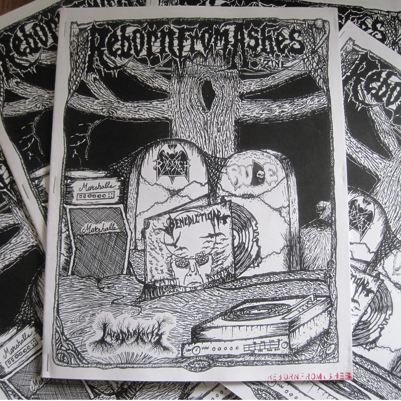 REBORN FROM ASHES #8
