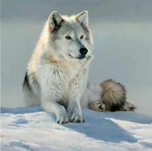 Relaxed Posture