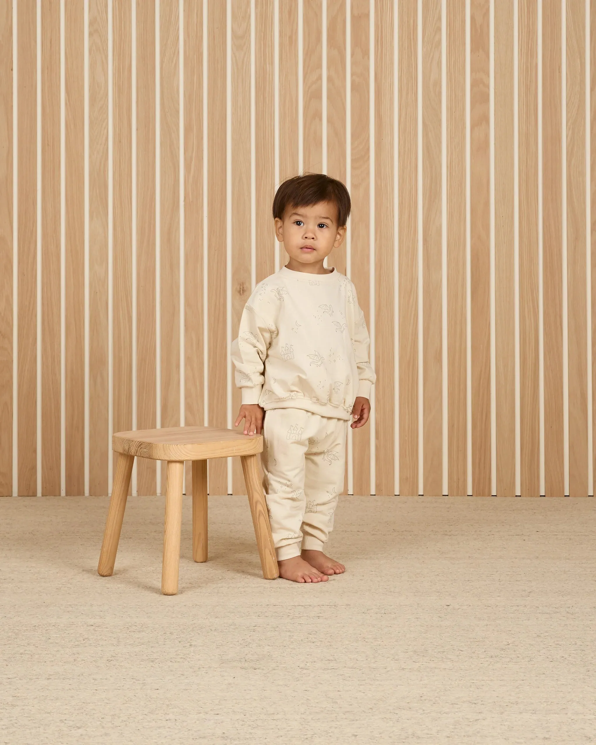 Relaxed Sweatshirt- Dragon