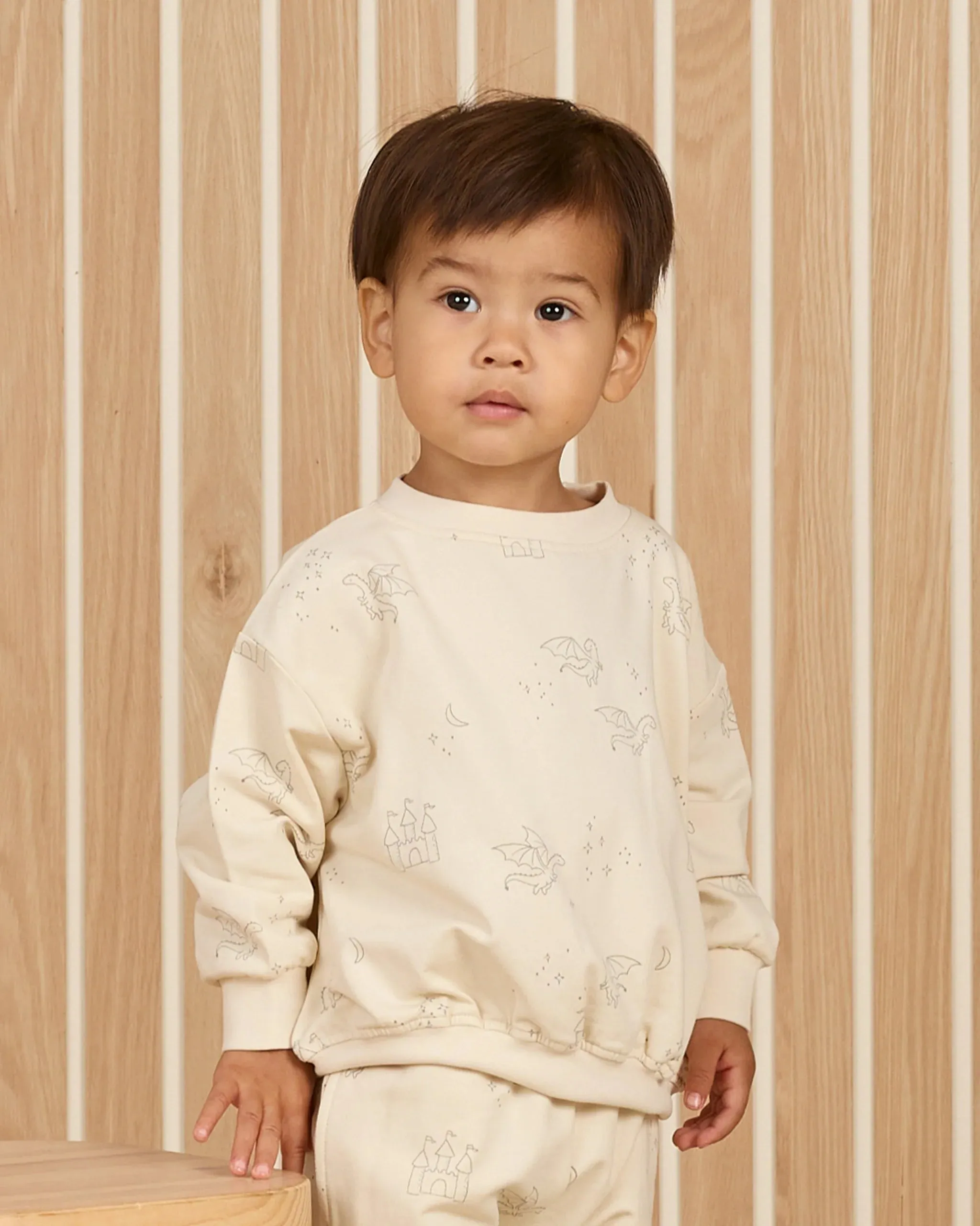 Relaxed Sweatshirt- Dragon