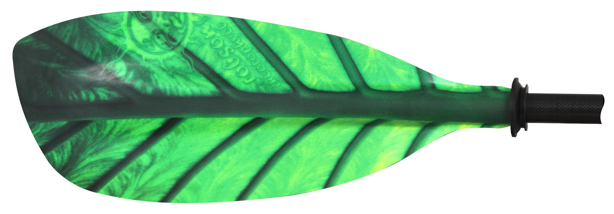 Robson -Chlorophyll Tour Fixed