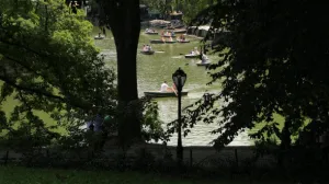 Row Boaters on The Lake in Central Park NYC (CU)