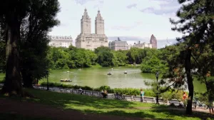 Row Boaters on The Lake in Central Park NYC (WS)