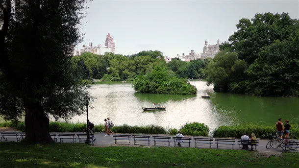 Row Boaters on The Lake in Central Park NYC